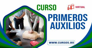 Curso Primeros Auxilios  (Virtual 24/7)